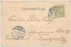 Zayugróc, Ugrócváralja, Uhrovec; Gróf Zay Miklós botgyára. Fuchs Vilmos kiadása / Stockfabrik / wood...