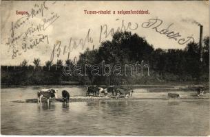 1913 Lugos, Lugoj; Temes részlet a selyemfonodával. Nagel Sándor kiadása / Timis riverside with silk factory