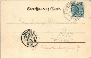 1901 Marktl Im Traisental (Lilienfeld), general view (EK)