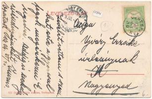 1909 Verespatak, Goldbach, Rosia Montana; látkép. Oprea Miklós kiadása / general view (EB)