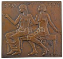 Beck Ötvös Fülöp (1873-1945) 1930. "Buda Pest / Isten hozott" kétoldalas bronz plakett, eredeti jó állapotú de hiányos Budapest címeres dísztokban (64x68mm) T:AU Hungary 1930. "Buda Pest / Isten hozott (Buda Pest / Welcome)" double-sided bronze plaque, in original case with Budapest coat of arms, the case is in good condition but some parts are missing (64x68mm) C:AU