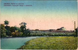 Oroszka, Kisoroszi, Pohronsky Ruskov, Oroska; Cukorgyár látképe a Garam felől / phlad na cukrovár / sugar factory from River Hron (EK)