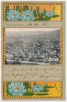 1903 Celje, Cilli; Von Nikolaigebirge / view from the mountain. Fritz Rasch Art Nouveau, floral, litho (EB)