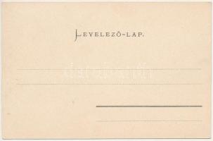 Budapest II. Széna tér, Pfanzest József Posch kávéháza, Frank Károly, Grünbaum üzlete, Pell vendéglő...