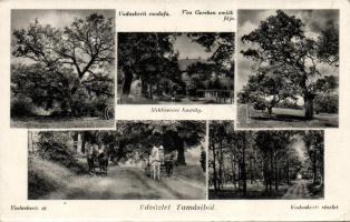 Tamási Vadaskert a Miklósvári kastéllyal (EK)