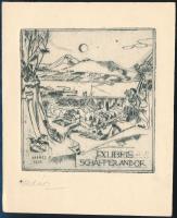 Vadász Endre (1901-1944): Ex libris Schäffer Andor, rézkarc, papír, jelzett, 9×8,5 cm