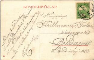 Gyöngyös, Gróf Orczy kastély Kőoroszlán kapudísze