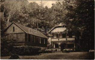 1919 Szászkabánya, Németszászka, Sasca Montana; Malomvölgy, vendéglő, nyaraló / Mühlthal / valley, restaurant, villa