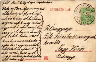 1913 Mezőtelegd, Tileagd; Bihar-Szilágyi Olajipar rt. gyára / factory of the oil industry (r)