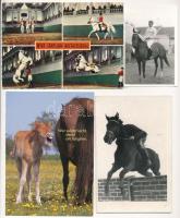 9 db MODERN lovak, lovas sport motívum képeslap + 2 db fotó / 9 modern motive postcards: horses, equestrian sports + 2 photos