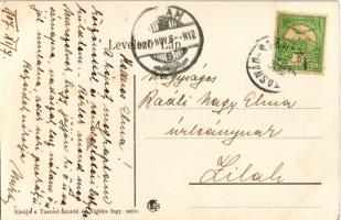 1907 Tasnádszántó, Tasnád-Szántó, Santau (Szatmár); úrilak, Govrik kúria, kastély / castle