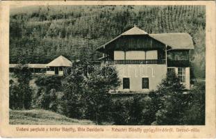 1926 Maroshévíz, Toplita; Bailor Bánffy, Vila Desideriu / Bánffy-gyógyfürdő, Dezső villa. Walter Ede kiadása / spa, bath, villa