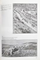 Panagiotakis George I.: The Battle of Crete -.Die Schlacht um Kreta (háromnyelvű)
Heraklion 1995, K...