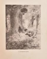 Ernest Thompson Seton: Két kis vadóc. Két fiú kalandjai. Úgy éltek, mint indiánok és sokat tanultak ...
