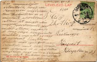 1910 Szolnok, Tisza részlet, híd, faúsztatás (fa)