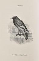 Herman Ottó: A madarak hasznáról és káráról. Darányi Ignácz m. kir. földmivelésügyi minister megbizá...