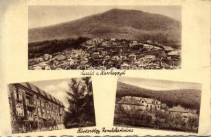 Budapest II. Hűvösvölgy Remetekertváros (fa)