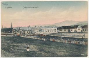 Szelistye, Saliste; Laptaria, Judecatoria cercuala / Tejüzem, Járásbíróság. Dumitru B. Comsa kiadása / district court, dairy farm