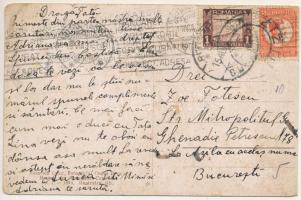 1931 Zajzon, Zaizon-fürdő, Zajzonfürdő, Baile Zizin; Masa muscalului / látkép / general view (fl)