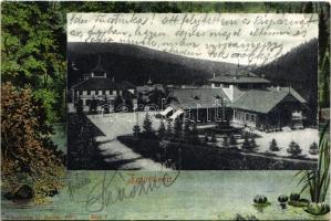 1911 Iglófüred, Bad Zipser Neudorf, Spisská Nová Ves Kupele, Novovesské Kúpele; fürdő látképe. Wlaszlovits G. kiadása. Szecessziós erdős keret / spa. Art Nouveau forest frame