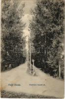 1914 Nagyilonda, Ileanda; Vasúthoz vezető út. Benedek Béla kiadása, Dunky fivérek felvétele / street towards the railway station (fl)