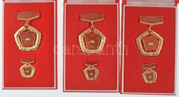 ~1970-1980. "A Magyar Népköztársaság Kiváló Brigádja - Szocialista Brigád" (11x) aranyozott, műgyantás jelvények miniatűrrel, eredeti tokokban T:AU