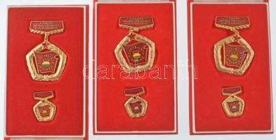 ~1970-1980. "A Magyar Népköztársaság Kiváló Brigádja - Szocialista Brigád" (11x) aranyozot...