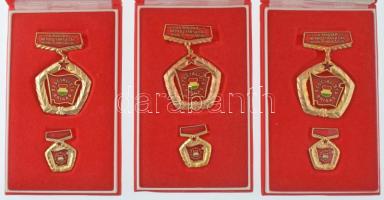 ~1970-1980. "A Magyar Népköztársaság Kiváló Brigádja - Szocialista Brigád" (11x) aranyozot...