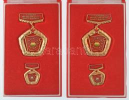 ~1970-1980. "A Magyar Népköztársaság Kiváló Brigádja - Szocialista Brigád" (11x) aranyozot...