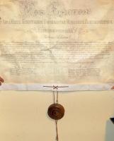 1902 Kolozsvári Tudományegyetem jogi doktori bőr oklevele, függő pecséttel 65x50 cm