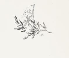 Békefi Remig: Emlékkönyv, melyet Magyarország ezeréves fennállásának ünnepén közrebocsát a hazai czi...