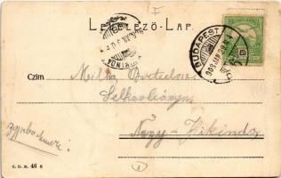 1908 Budapest I. Királyi várpalota a Tabáni házak felől (r)