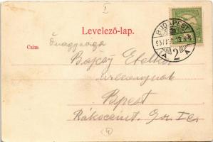 1907 Budapest I. Déli vaspálya, pályaudvar, vasútállomás, lovaskocsi (EK)