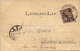 1901 Budapest IX. Vámház körút, lovas hintók. Divald 136