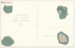 Felsőbánya, Baia Sprie; látkép / general view. photo (vágott / cut)