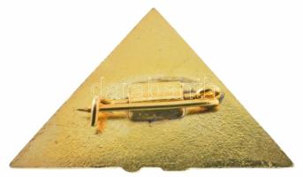 ~1972. "Kossuth Akadémia 25. évfordulója" műgyantás fém jelvény (18x30mm) T:AU