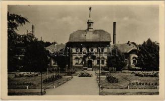 Gyula, József Attila szanatórium. Képzőművészeti Alap