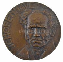 Antal Sándor (1882-1944) 1907. Schopenhauer egyoldalas bronz plakett (~89-90mm) T:AU / Hungary 1907. Schopenhauer one-sided bronze plaque (~89-90mm) C:AU