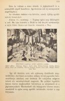 [Scott, Robert Falcon (1868-1912)] Scott utolsó útja. Scott naplója és útitársainak feljegyzései. Fo...