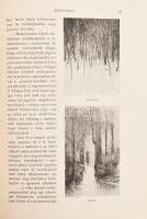 Malonyay Dezső: Mednyánszky. Művészeti Könyvtár. Bp., 1905, Lampel R. (Wodianer F. és Fiai) Rt. Gazd...