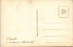 Budapest XIV. Állatkert, gyerekhintó pónival. photo