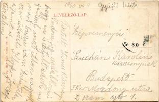 Martonvásár, Dreher kastély udvari részlete. W.L. Bp. 5441. (Rb)