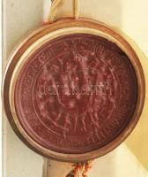 1909 Kolozsvári M. Kir. Ferenc József Tudomány-Egyetem jogi doktori diplomája, pergamen, 2 K. okmány...