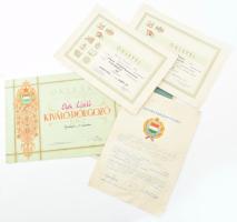 6 darab szocialista oklevél, okmány, közte szakmunkásbizonyítvány