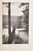 Szeghalmy Gyula: Erdélyi vármegyék. (A történelmi Erdély). József királyi herceg előszavával. Bp., 1...