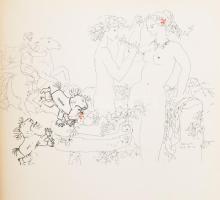 Reich Károly: Variációk. A pamutszamár keservei, átváltozásai és végső boldogsága. Devecseri Gábor v...