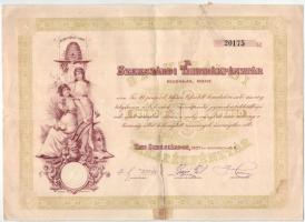 Szekszárd 1927. A Szekszárdi Takarékpénztár részvénye 10P értékben, szárazpecséttel és 2db szelvénnyel T:G szakadt, ragasztott