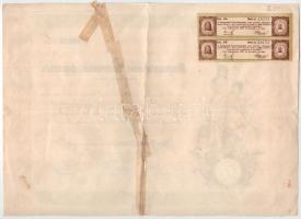 Szekszárd 1927. "A Szekszárdi Takarékpénztár" részvénye 10P értékben, szárazpecséttel és 2...