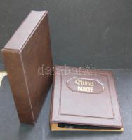 Gyűrűs berakó, tokkal, 9db kettes osztású lappal