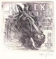 König (Kőnig) Róbert (1951-2014): Ex libris Semseyné Valkó Ilona. Rézkarc, merített papír, jelzett, 8,5x9 cm